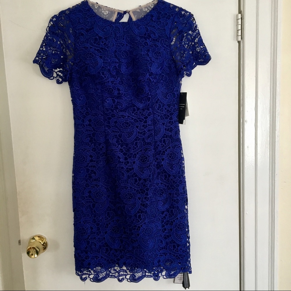 Royal Blue Lace Cocktail Dress
